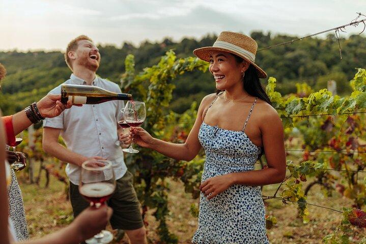 Vineyard Voyage : Visite privée d’un amateur de vin de Bilbao à Rioja