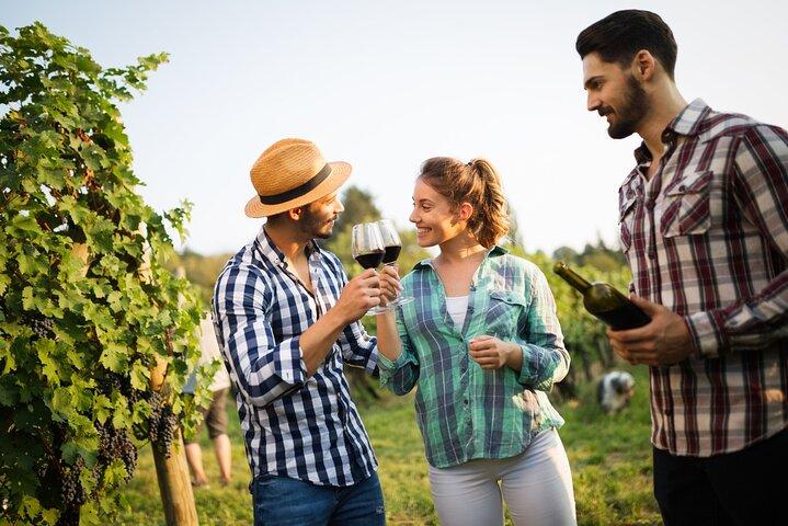 Vineyard Voyage : Visite privée d’un amateur de vin de Bilbao à Rioja