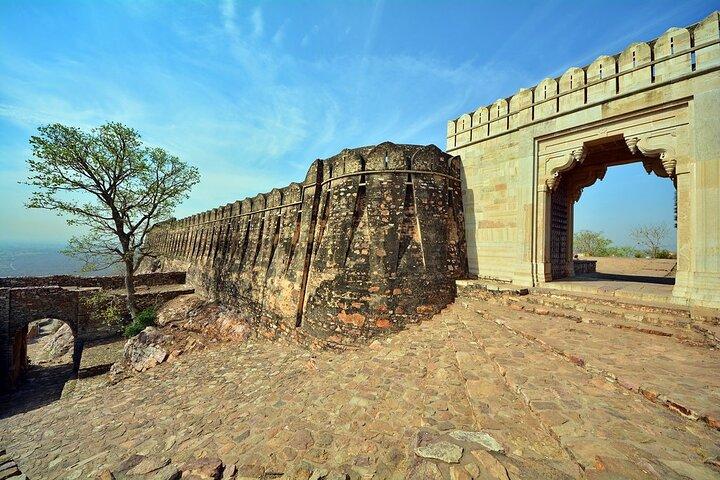 Excursion privée d'une journée au fort de Chittorgarh au départ d'Udaipur