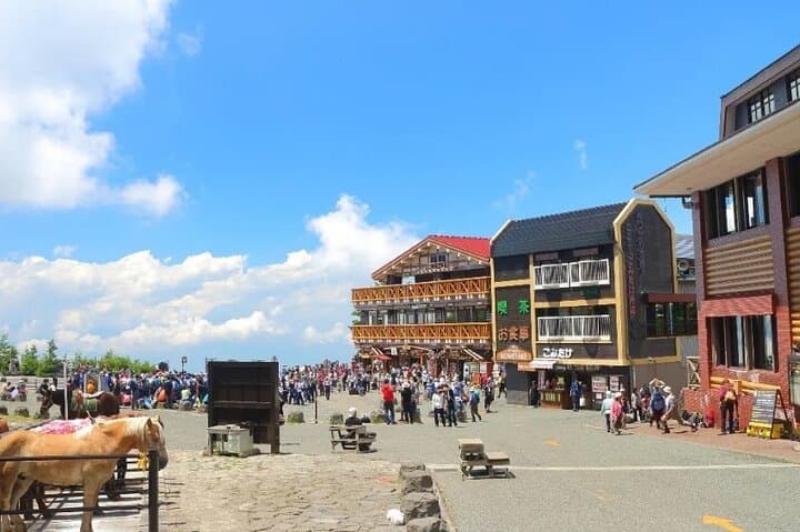 Mt. Fuji 5th Station, Hakone and Gotemba Outlets Day Tour