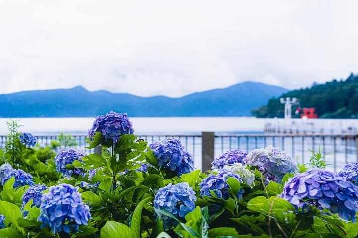 Mt. Fuji 5th Station, Hakone and Gotemba Outlets Day Tour