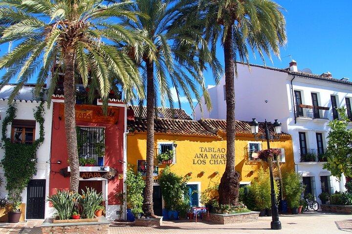 Viagem privada de um dia de Málaga a Marbella e volta