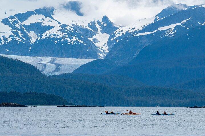 Paddle met walvissen Kayak Adventure Juneau