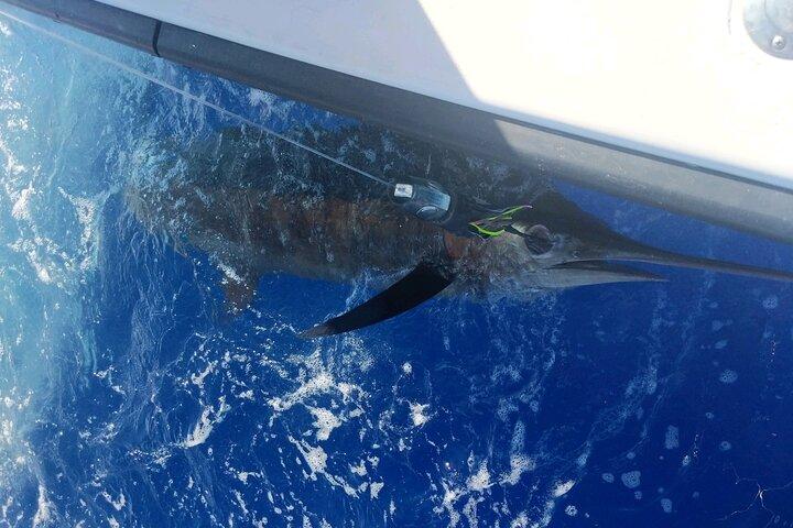 Kona - 5 ore di noleggio privato di pesca a Kailua-Kona