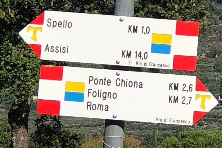 Tour Privato in E bike in Fascia Olivata Assisi Spello Foligno
