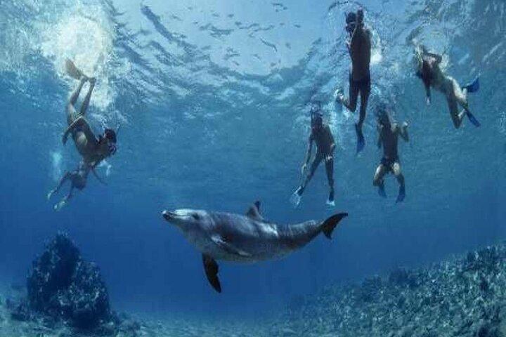 Marsa Alam: Submarino Royal Sea Scope