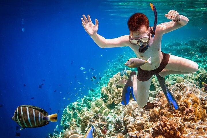 Private geführte Taucherfahrung in Dahab
