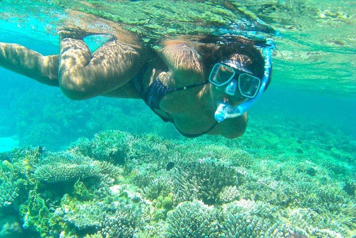 Private geführte Taucherfahrung in Dahab