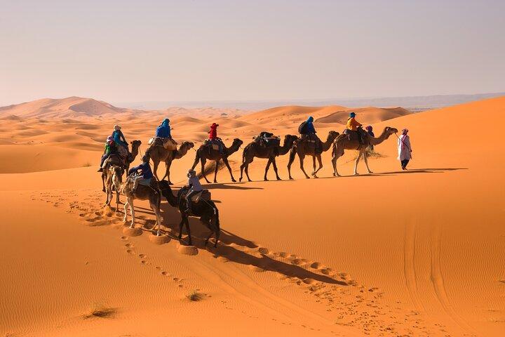Tour culturale privato di 6 giorni in Marocco da Casablanca a Marrakech