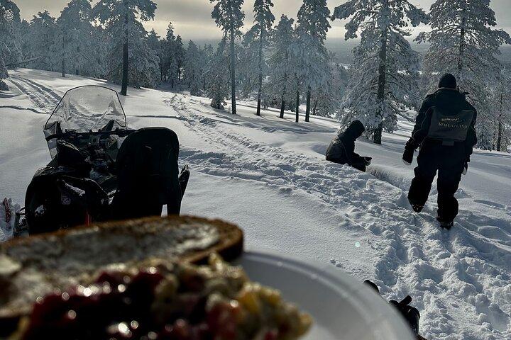 Schneemobilsafari in die Wildnis