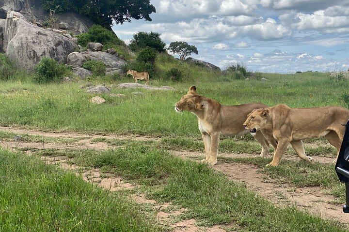 Privat tur i Arusha National Park