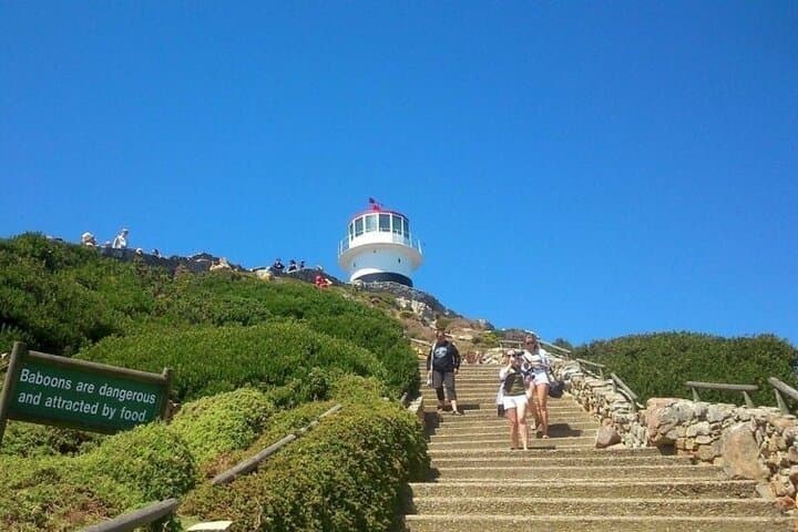 Table Mountain, Boulders Beach Penguins & Cape Point