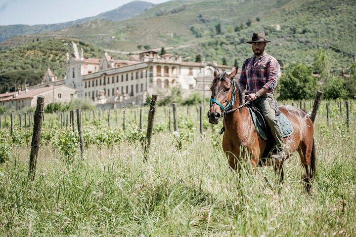 Horseback riding and aperitif 2 hours for beginners