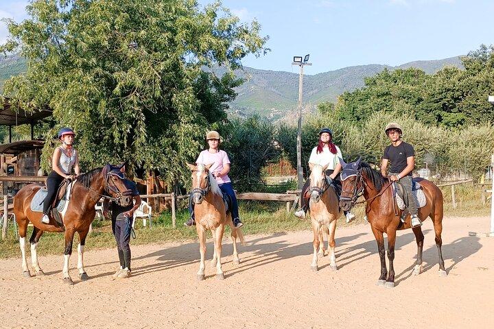 Horseback riding and aperitif 2 hours for beginners