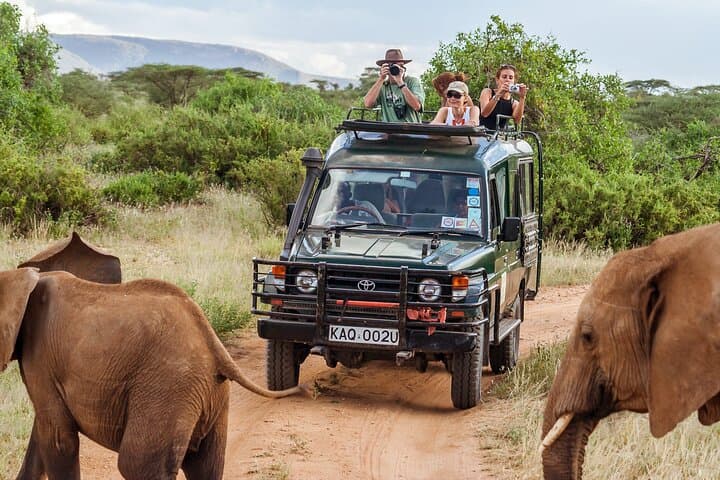 5 Days Masai Mara and Lake Nakuru Lodge Safari