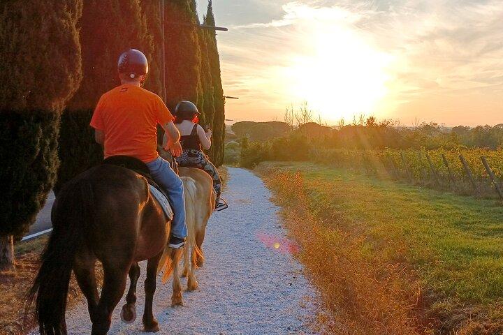 Équitation au coucher du soleil 1 heure à la Certosa di Pisa