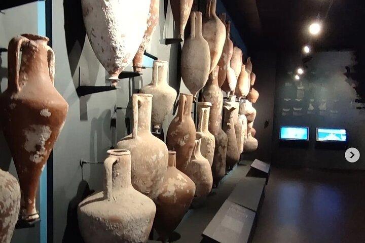 クルーズ港発ボドルム 1 日プライベート ツアー