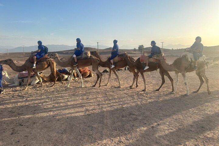 Camel ride through agafay desert