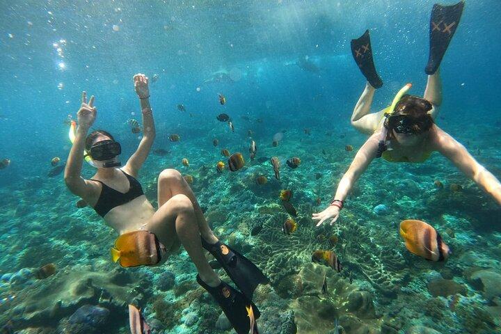 Snorkel En La Isla De Nusa Penida Con Mantarrayas Desde Bali