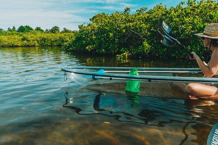 Visite de Tarpon Springs en kayak clair de la saison des lamantins