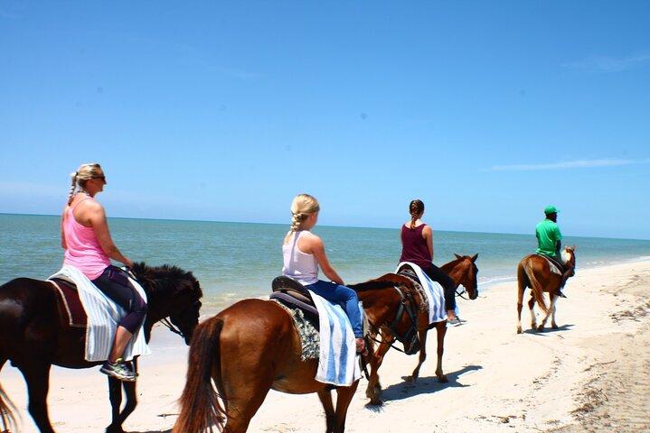 ATV and Horse Ride n Swim Combo em Ocho Rios Jamaica