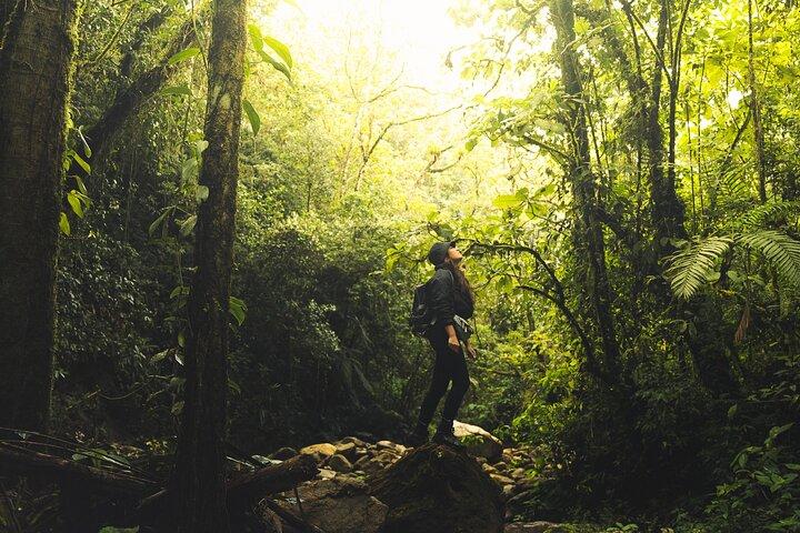 hiking medellin and hidden waterfalls