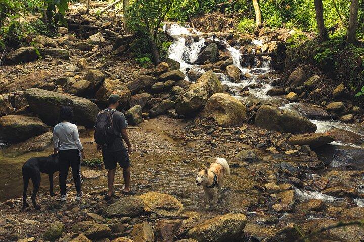 hiking medellin and hidden waterfalls