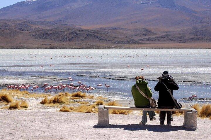 5 - Jour Voyage privé : Salar de Uyuni & Altiplano Paysages