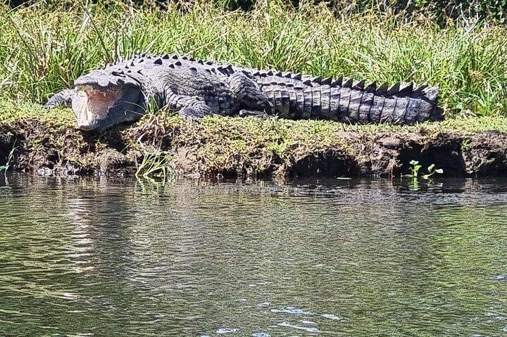 Traslado de Tortuguero a Moin en bote