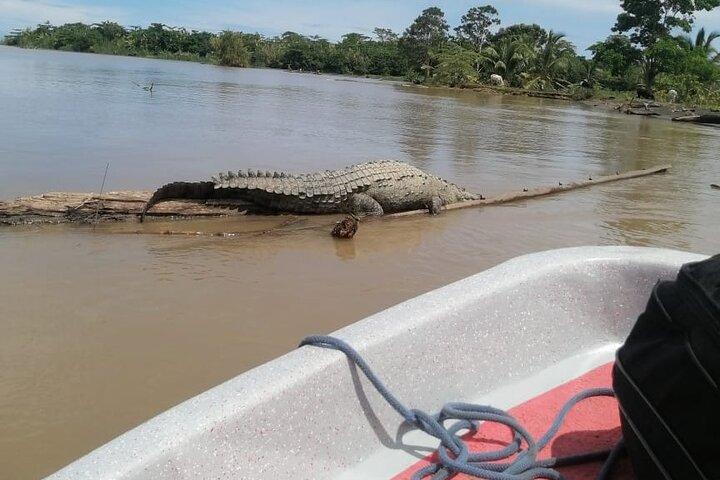 Traslado de Tortuguero a Moin en bote