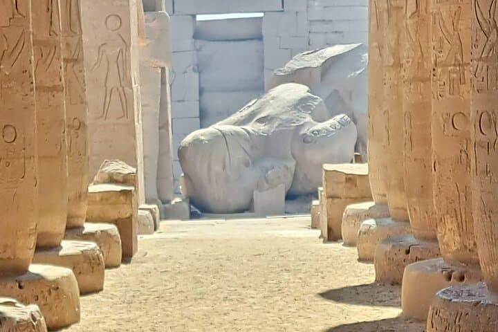 Private Tour in Ramesseum, Tombs of the Nobles and Carter's House