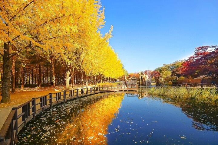 Nami Island Tagestour von Seoul (Schlafen in & Freizeit)