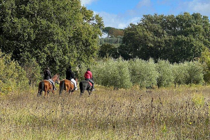 Équitation à Montepulciano Toscane, déjeuner à la ferme