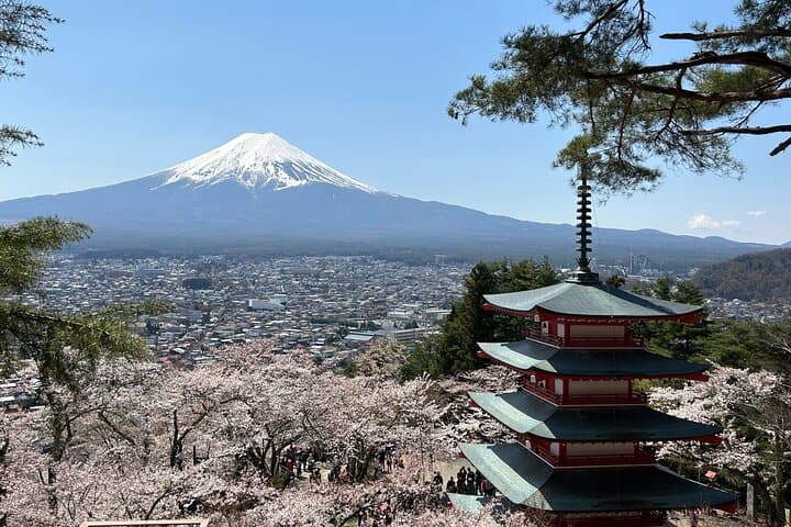 Full Day Mt.Fuji&Hakone Tour, From-To Tokyo, Yokohama, 2-12guests