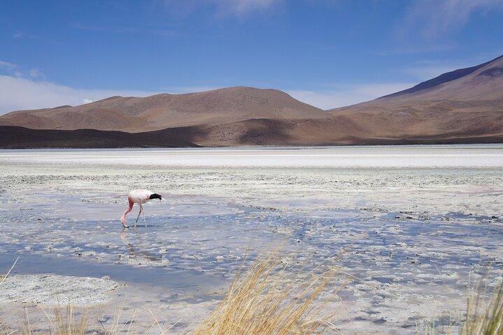 3 Tage 3 Nächte Salar de Uyuni-Tour mit dem Flugzeug