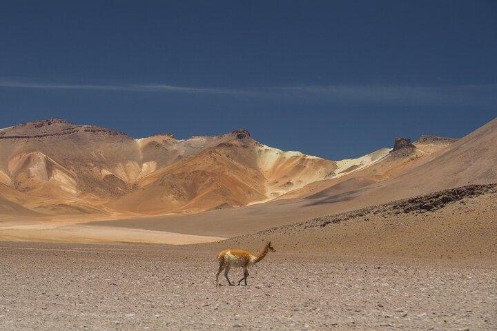 3 Tage 3 Nächte Salar de Uyuni-Tour mit dem Flugzeug