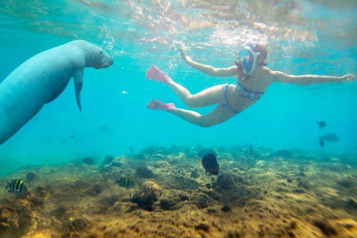 Expedição de Mergulho Marsa Alam