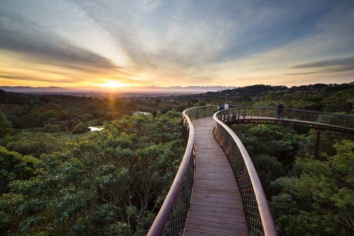 Kirstenbosch and Table Mountain Tour