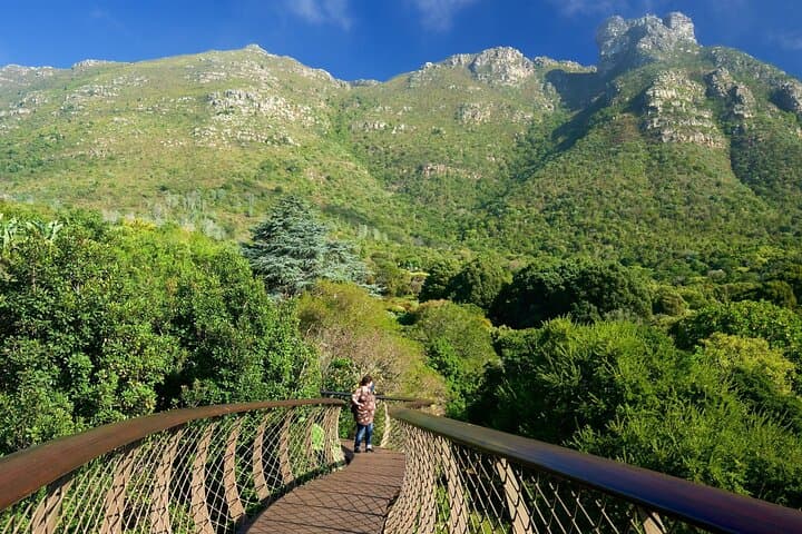 Kirstenbosch and Table Mountain Tour