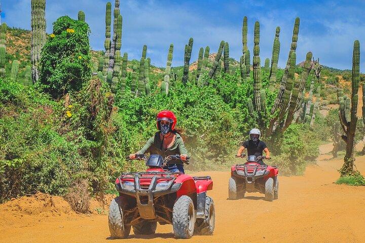 Migriño ATV Tour: Los Cabos