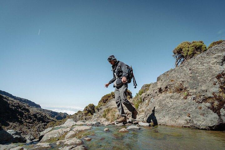 Vandring ved foden af Kilimanjaro