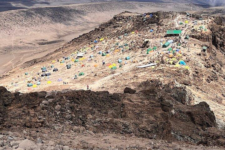 Vandring ved foden af Kilimanjaro