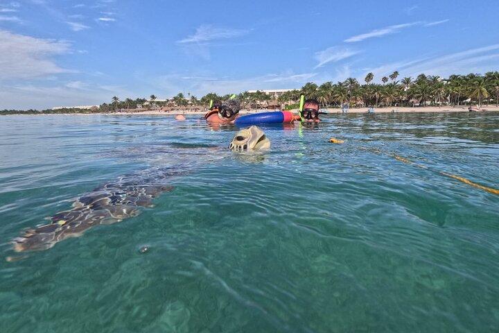 Privé-snorkelen met zeeschildpadden op Akumal Beach