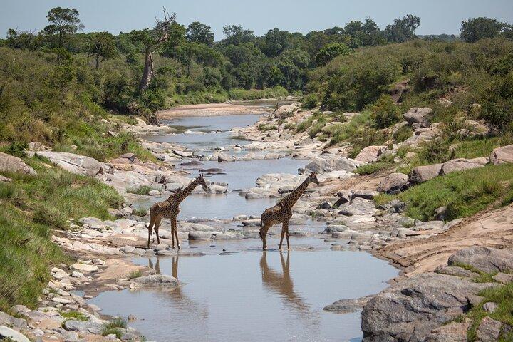 2 nætter / 3 dages Masai Mara-oplevelse