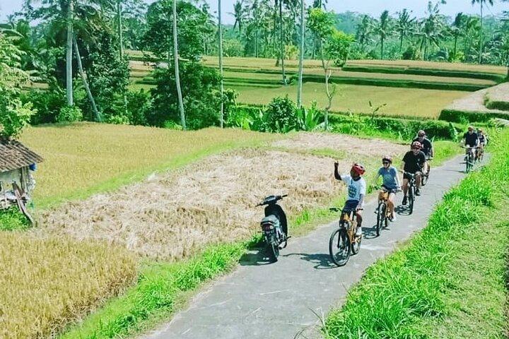 Downhill da Kintamani Cycling Tour condivisi a Ubud