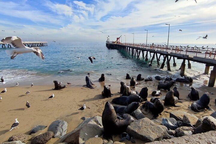 Un Tour Privado Completo de Valparaíso desde Santiago