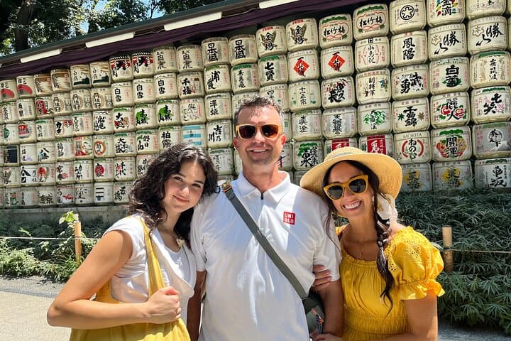Tokyo Layover Tour with Licensed Guide:Narita Airport Dep
