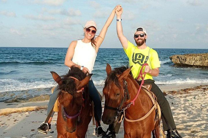 アルバエコロジー&海岸線乗馬&ビーチフォトストップ付き