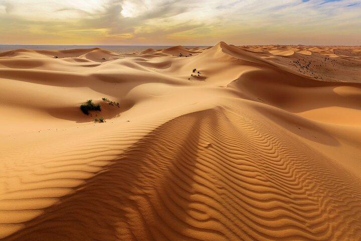 Privat Tour Desert Safari i Al Thumama från Riyadh