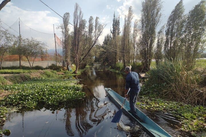 Pre-Hispanic Xochimilco, local food included and ajolotario.